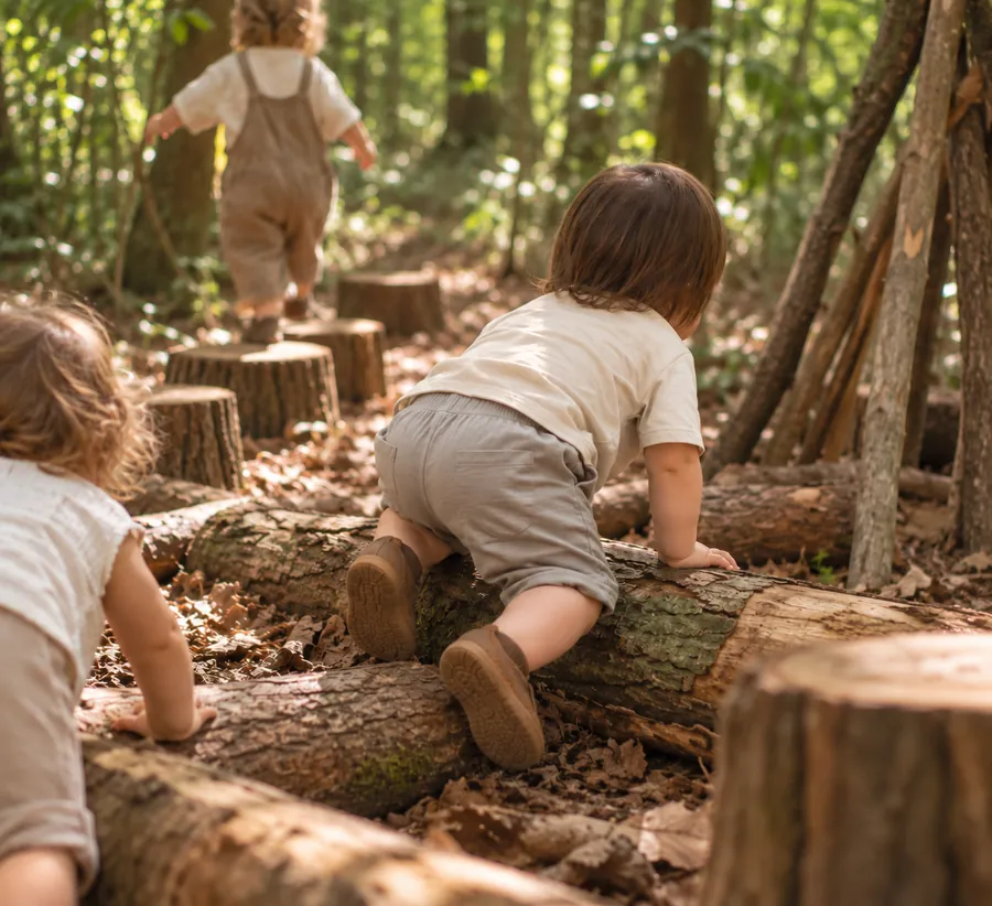 A toddler climbing over logs in a forest, another walking ahead.